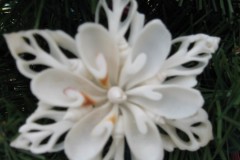 lilycut-snowflake-2