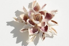 shell-blossom2_2