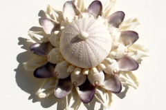 white-shell-blossom-with-urchin-for-print