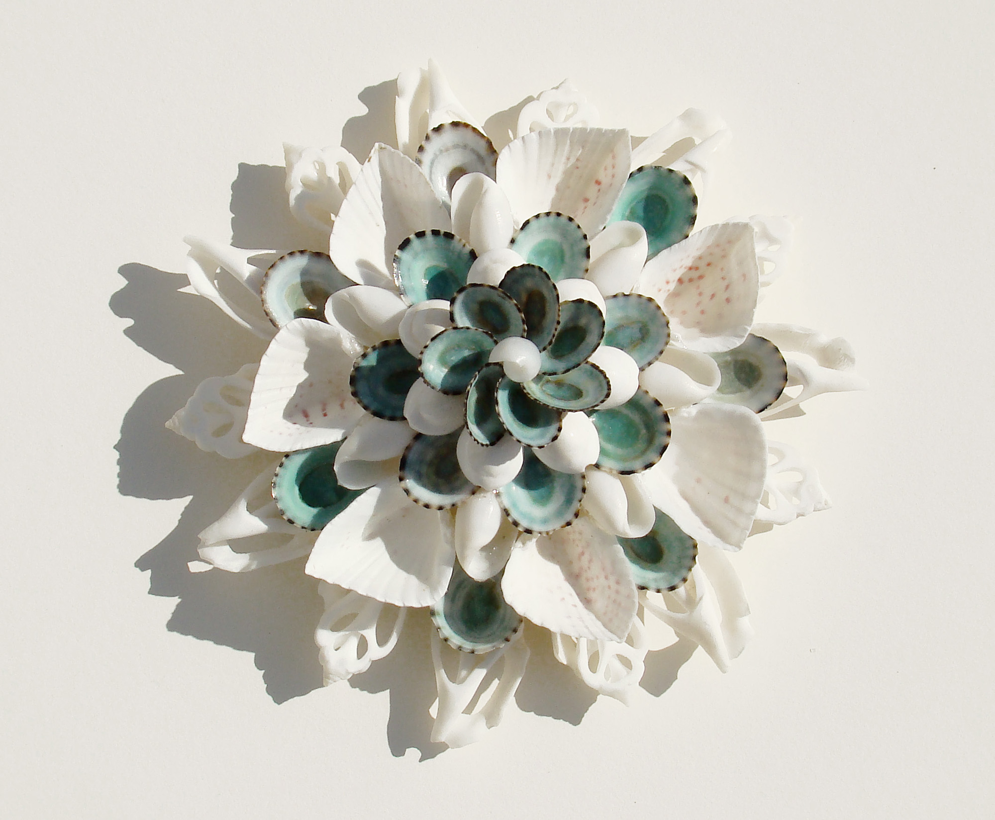 white-shell-blossom-with-green-for-print
